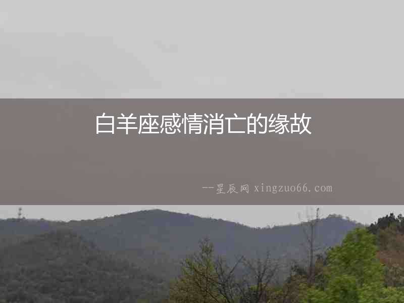 白羊座感情消亡的緣故