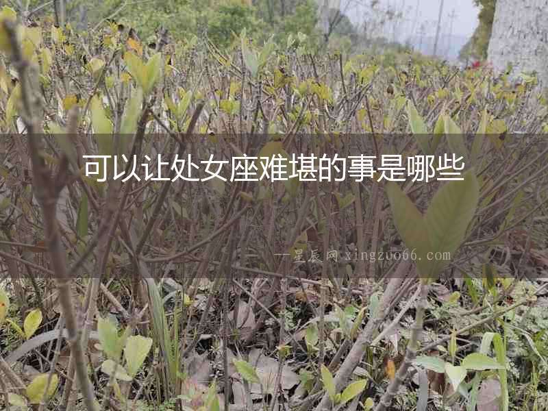 可以讓處女座難堪的事是哪些