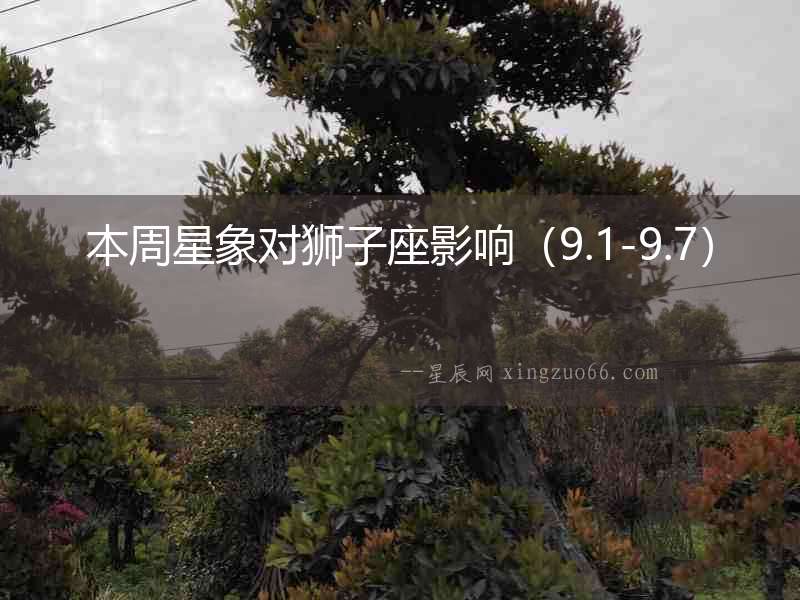 本周星象對獅子座影響（9.1-9.7）