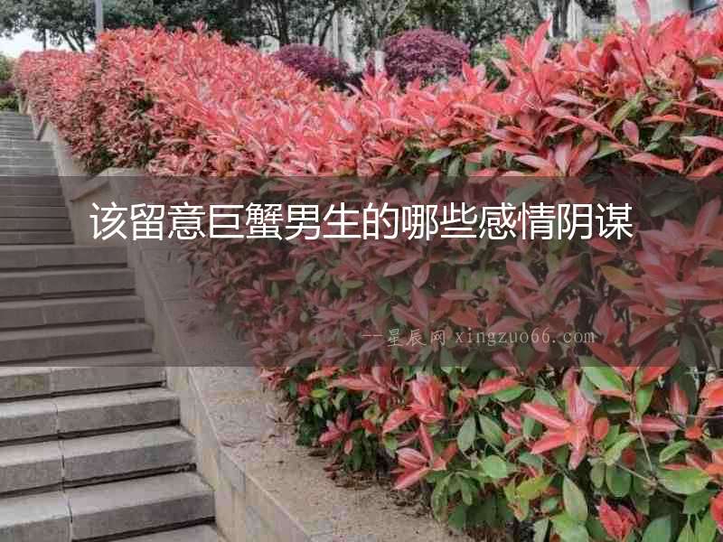 該留意巨蟹男生的哪些感情陰謀