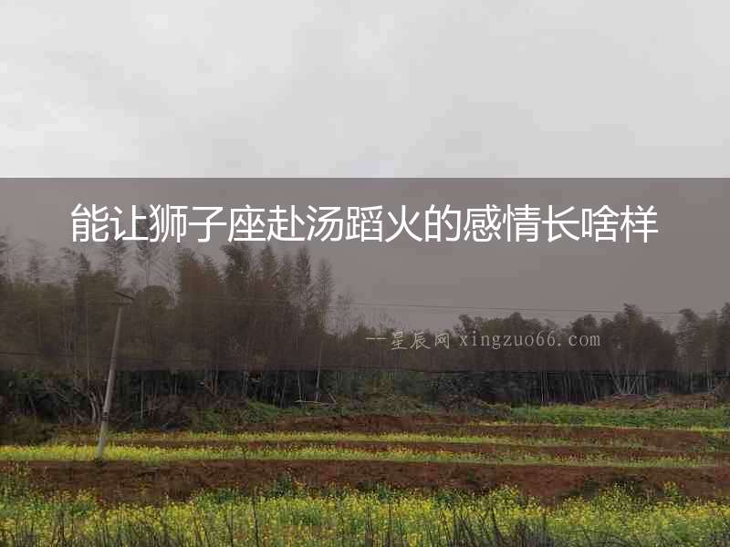 能讓獅子座赴湯蹈火的感情長啥樣