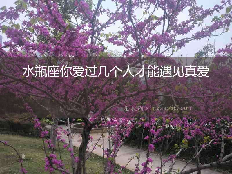 水瓶座你愛過幾個人才能遇見真愛