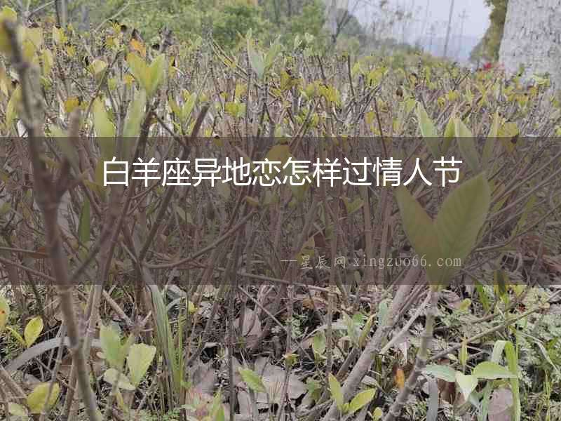 白羊座異地戀怎樣過情人節