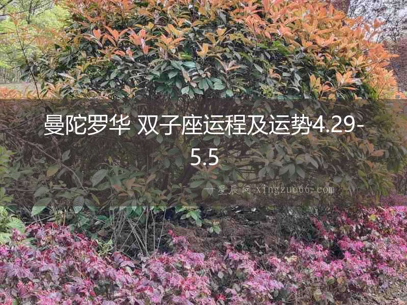 曼陀羅華 雙子座運程及運勢4.29-5.5