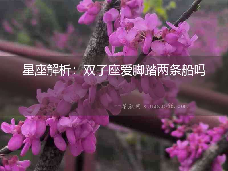 星座解析：雙子座愛腳踏兩條船嗎