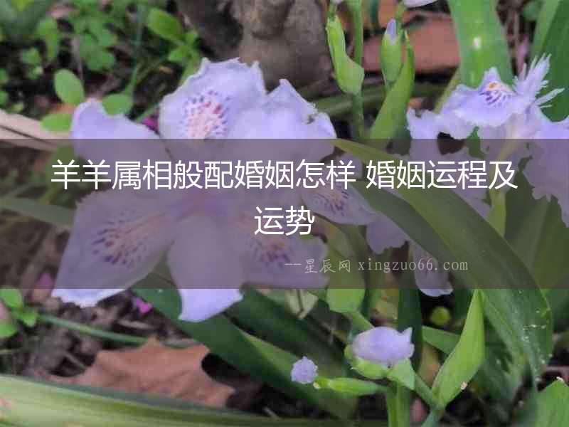 羊羊屬相般配婚姻怎樣 婚姻運程及運勢