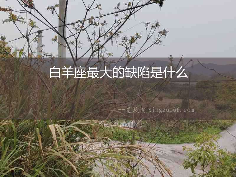 白羊座最大的缺陷是什么