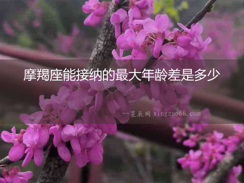 摩羯座能接納的最大年齡差是多少