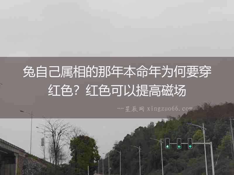 兔自己屬相的那年本命年為何要穿紅色？紅色可以提高磁場