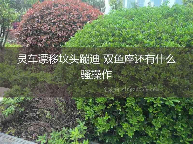 靈車漂移墳頭蹦迪 雙魚座還有什么騷操作