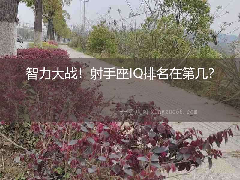 智力大戰！射手座IQ排名在第幾？