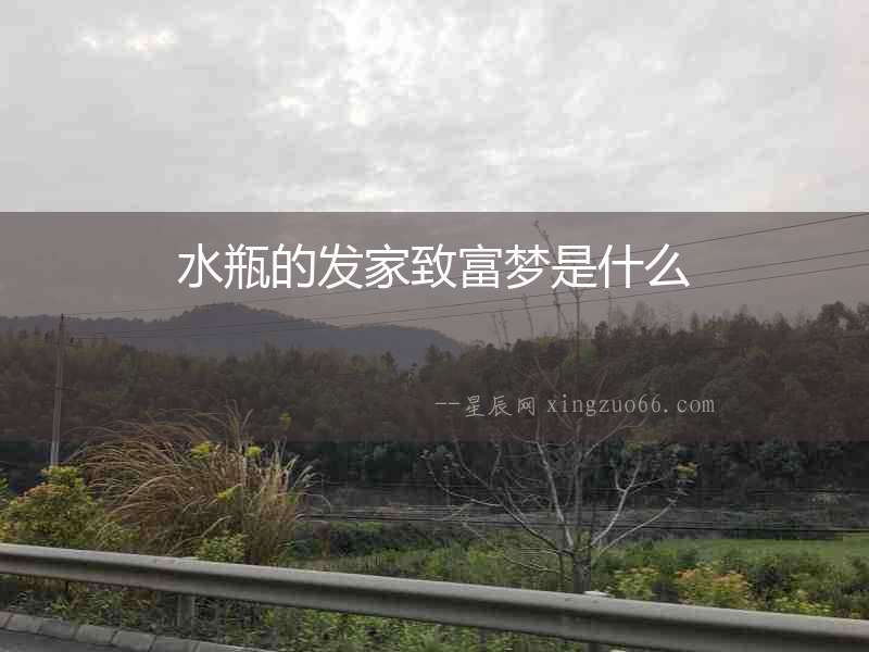 水瓶的發家致富夢是什么