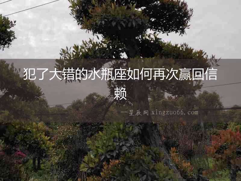 犯了大錯的水瓶座如何再次贏回信賴