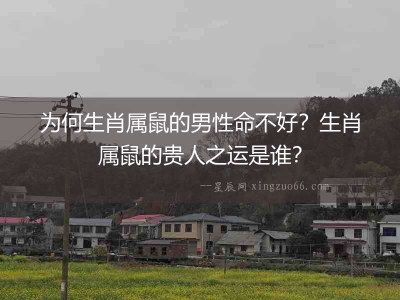 為何生肖屬鼠的男性命不好？生肖屬鼠的貴人之運(yùn)是誰？