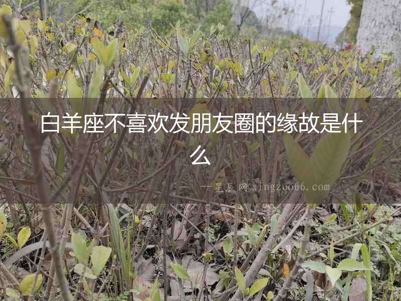 白羊座不喜歡發(fā)朋友圈的緣故是什么