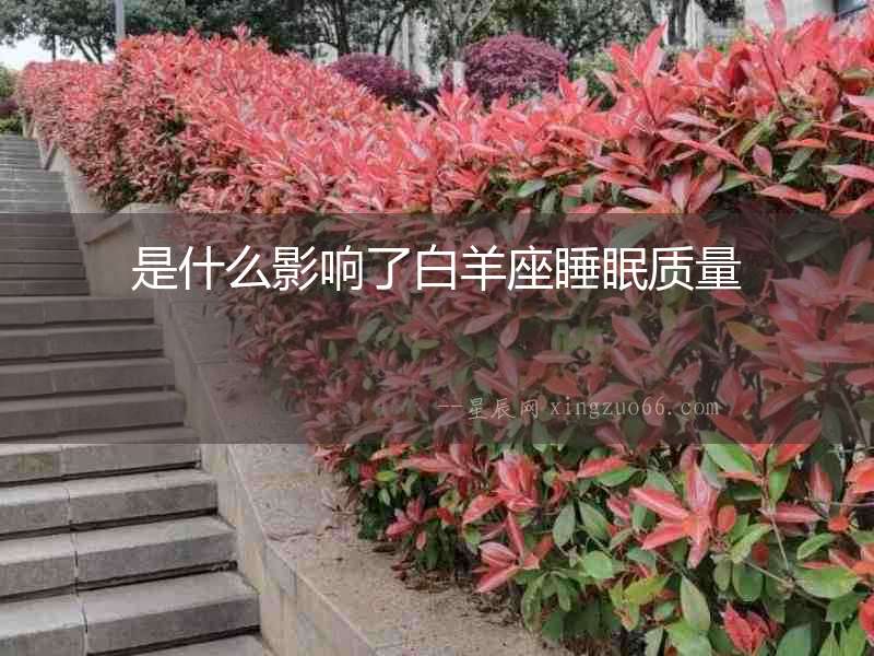 是什么影響了白羊座睡眠質(zhì)量