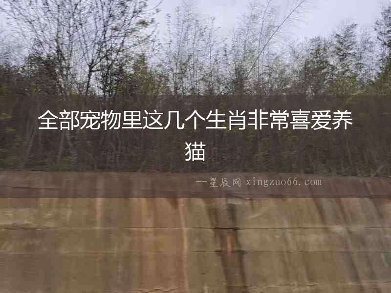 全部寵物里這幾個生肖非常喜愛養(yǎng)貓