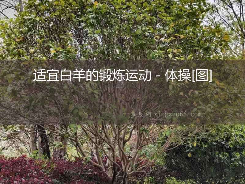 適宜白羊的鍛煉運(yùn)動(dòng)－體操[圖]