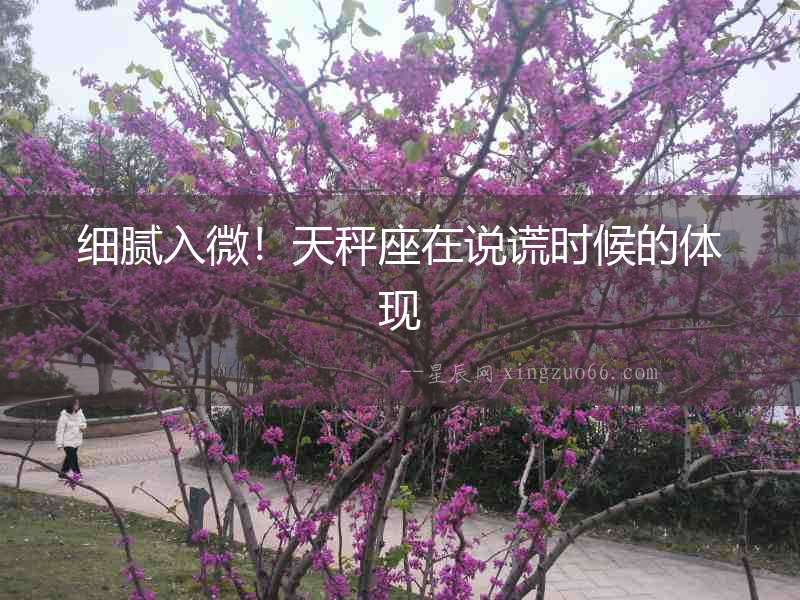 細膩入微！天秤座在說謊時候的體現
