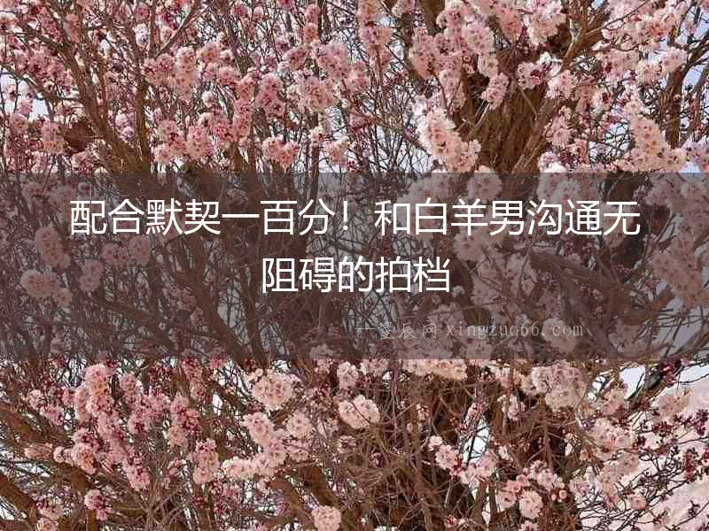 配合默契一百分！和白羊男溝通無阻礙的拍檔