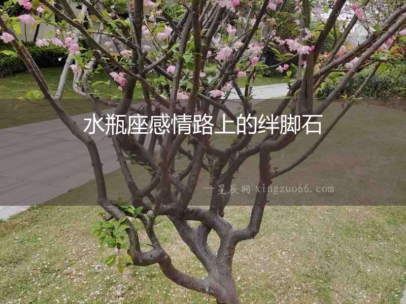 水瓶座感情路上的絆腳石