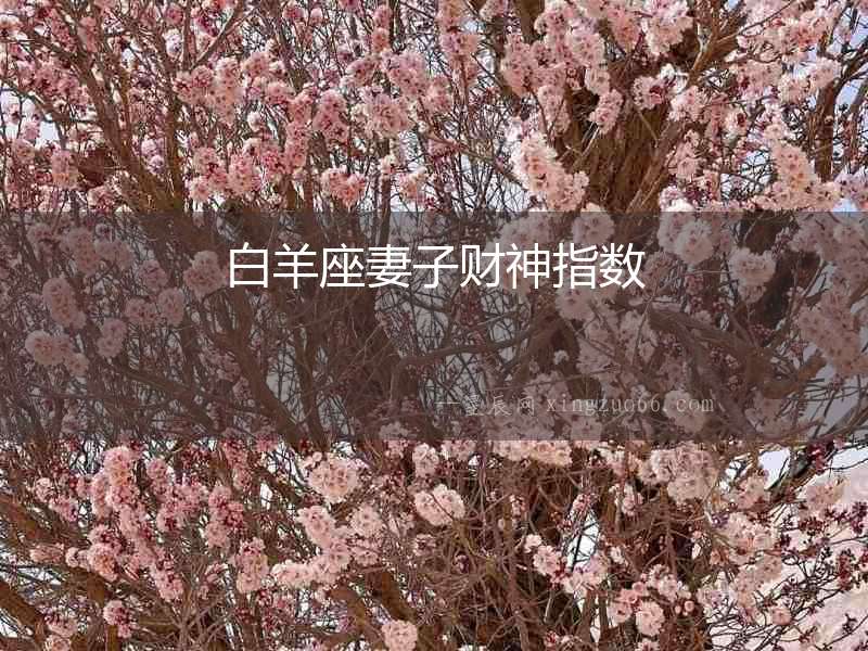白羊座妻子財神指數