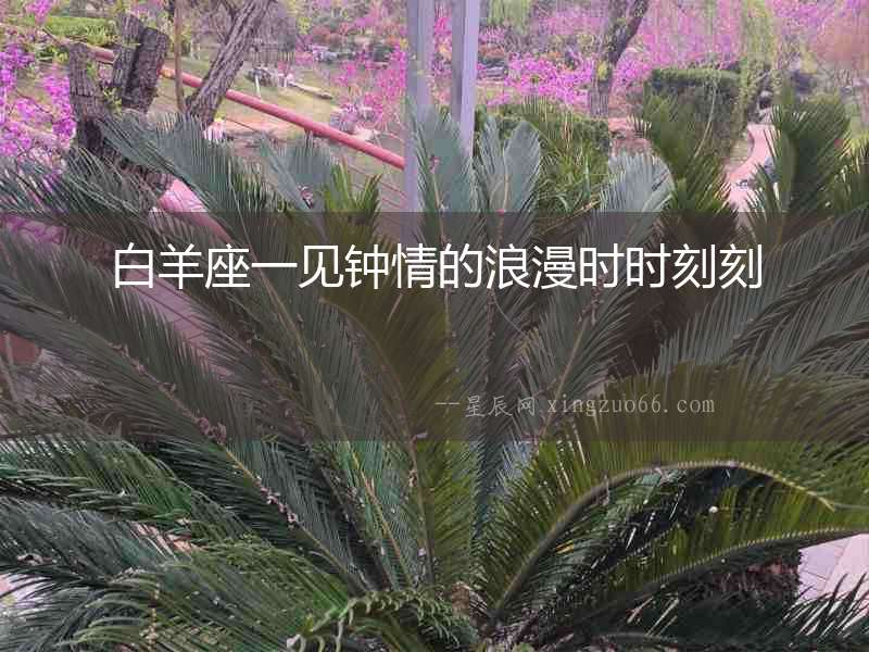 白羊座一見鐘情的浪漫時時刻刻