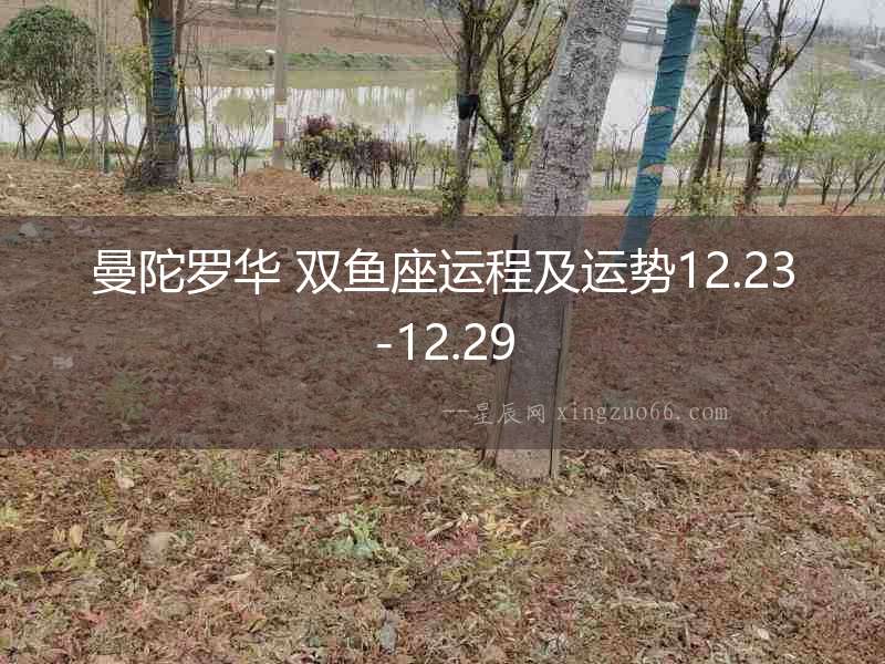 曼陀羅華 雙魚座運程及運勢12.23-12.29