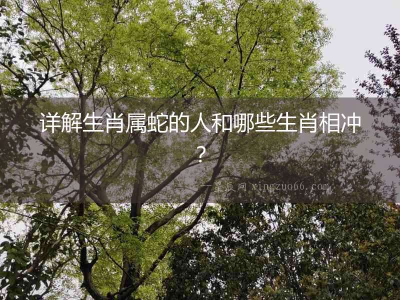 詳解生肖屬蛇的人和哪些生肖相沖？