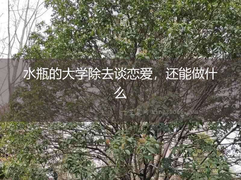 水瓶的大學除去談戀愛，還能做什么