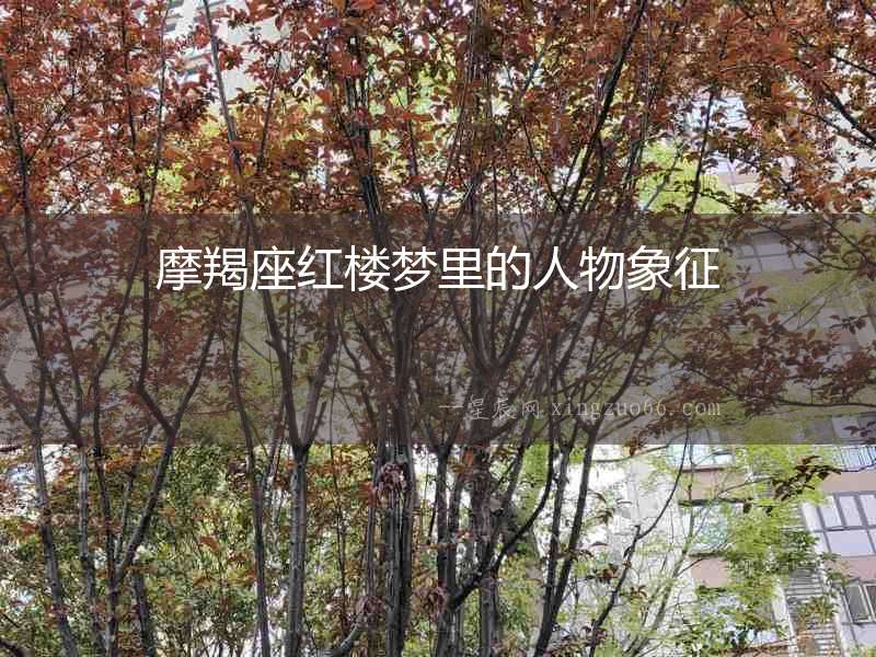 摩羯座紅樓夢(mèng)里的人物象征