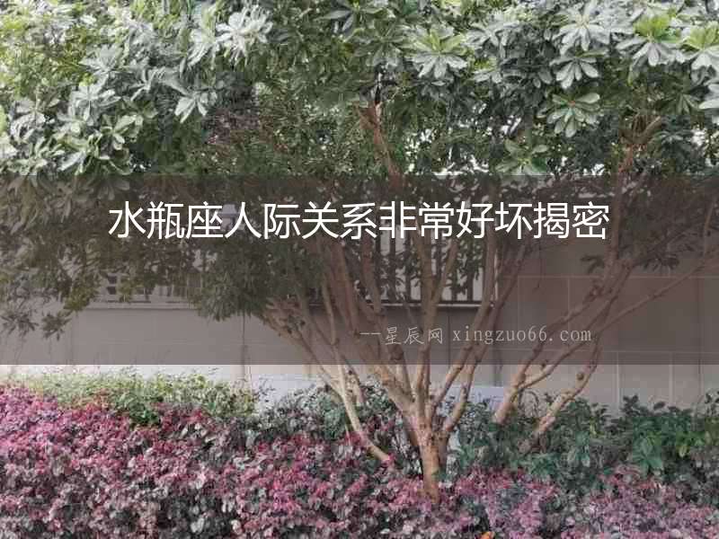 水瓶座人際關(guān)系非常好壞揭密