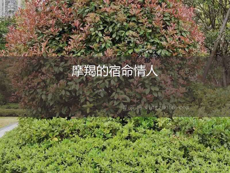 摩羯的宿命情人
