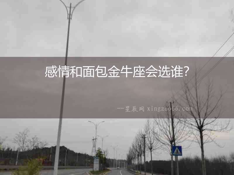 感情和面包金牛座會選誰？