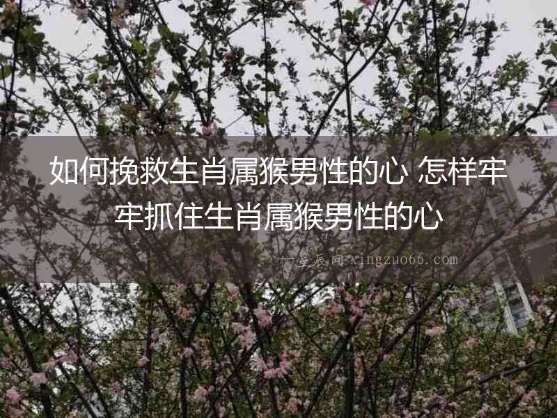 如何挽救生肖屬猴男性的心 怎樣牢牢抓住生肖屬猴男性的心