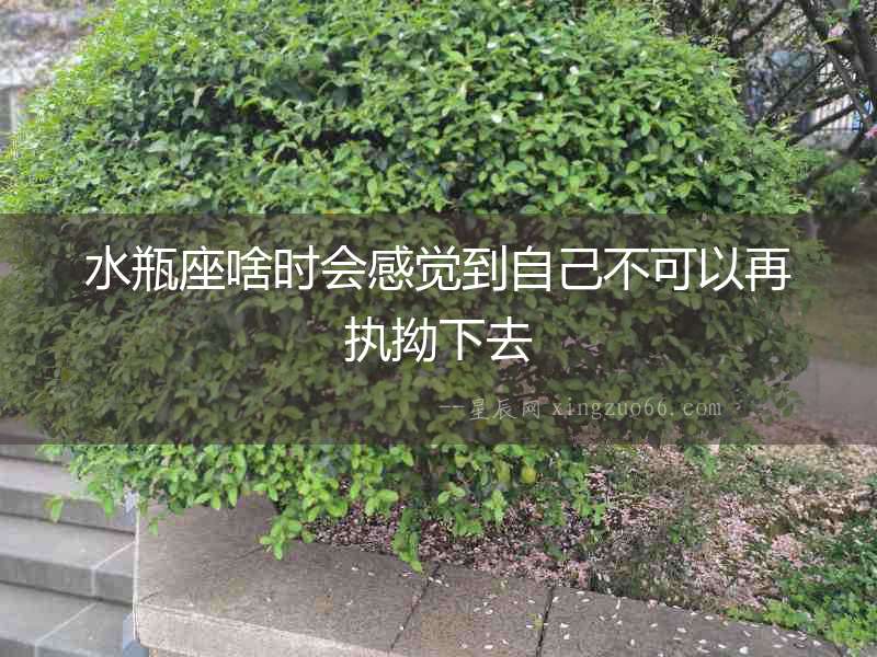 水瓶座啥時會感覺到自己不可以再執(zhí)拗下去