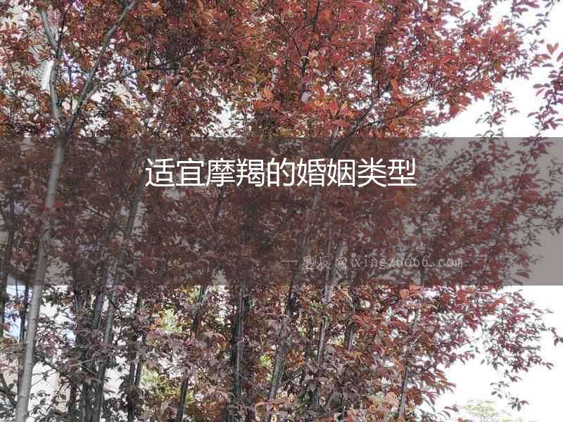 適宜摩羯的婚姻類型