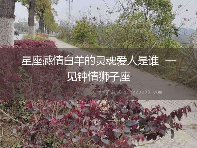 星座感情白羊的靈魂愛(ài)人是誰(shuí)  一見(jiàn)鐘情獅子座