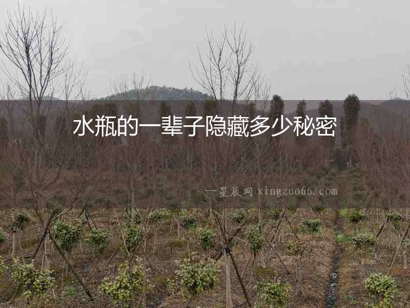 水瓶的一輩子隱藏多少秘密