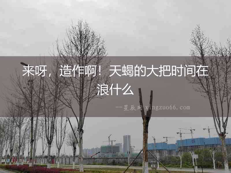 來呀，造作??！天蝎的大把時(shí)間在浪什么