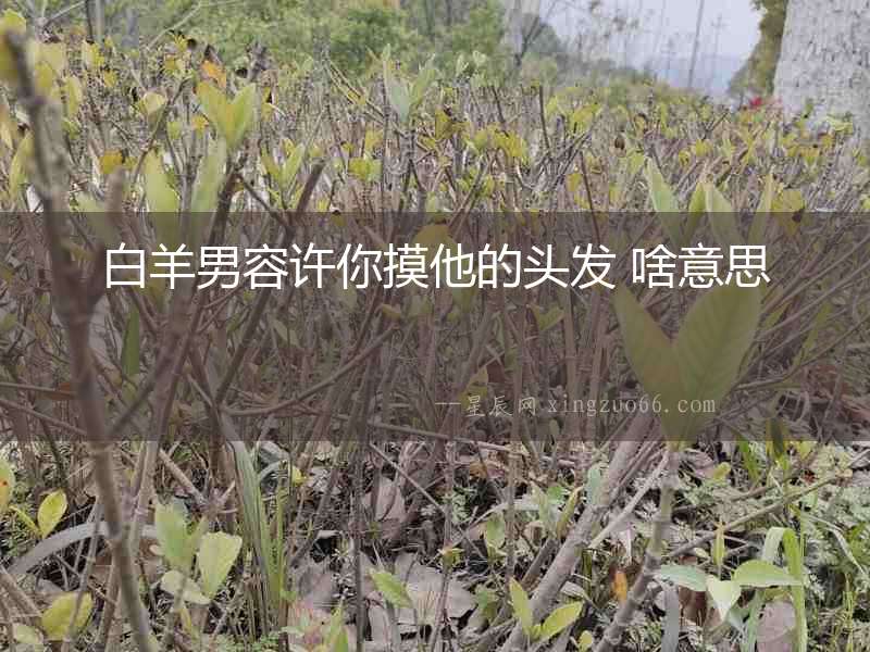 白羊男容許你摸他的頭發 啥意思