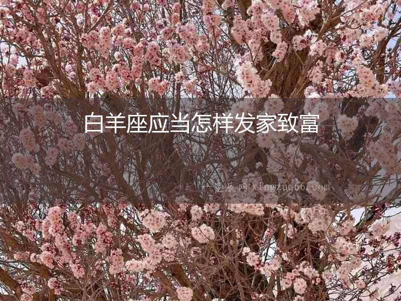 白羊座應當怎樣發家致富