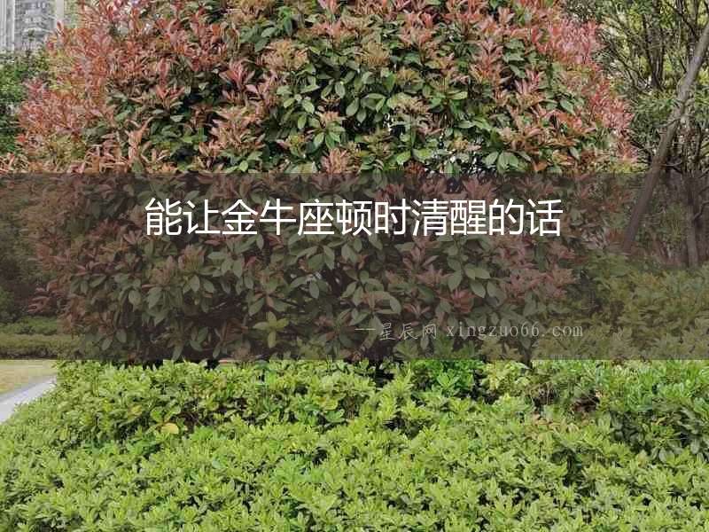 能讓金牛座頓時清醒的話