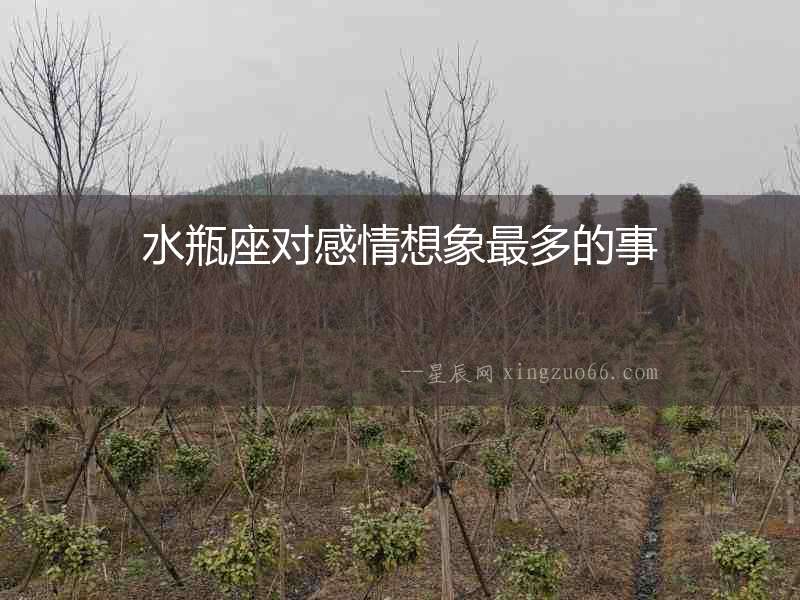 水瓶座對感情想象最多的事