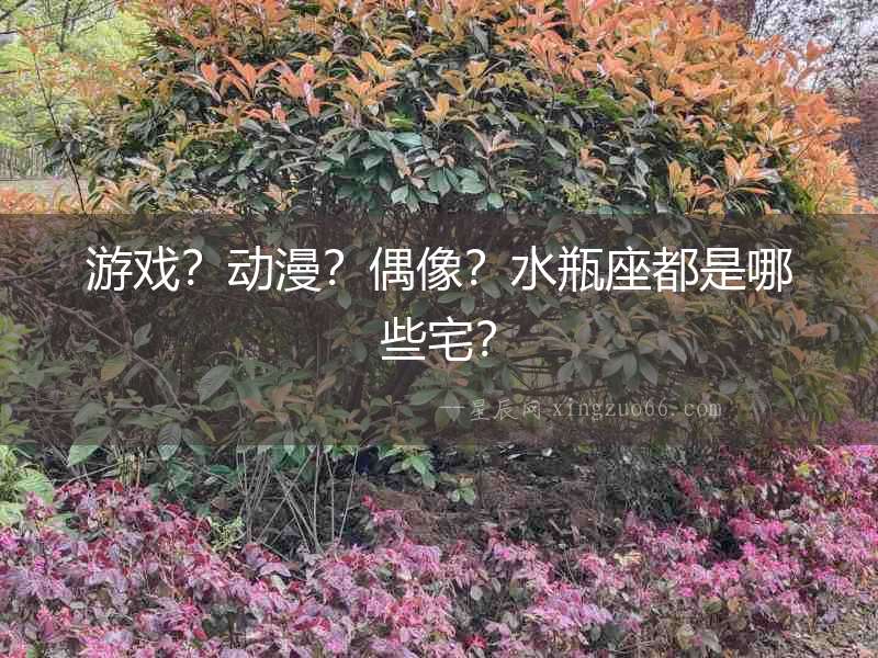游戲？動(dòng)漫？偶像？水瓶座都是哪些宅？