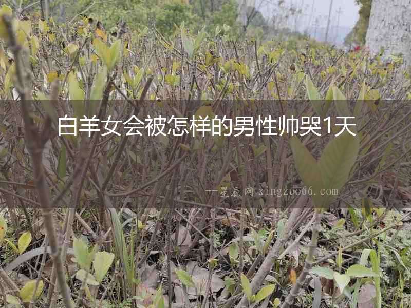 白羊女會被怎樣的男性帥哭1天