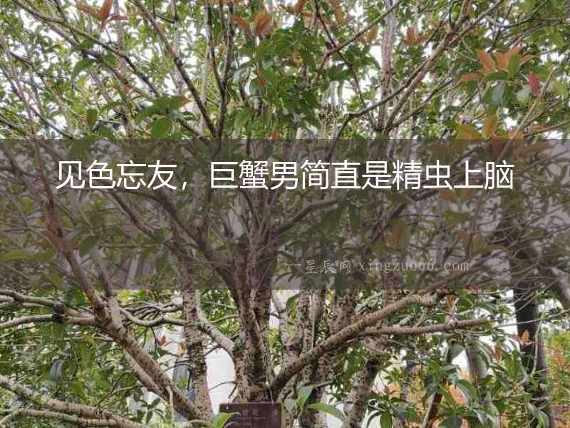 見色忘友，巨蟹男簡直是精蟲上腦