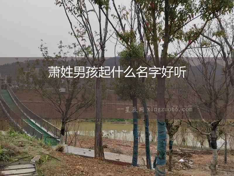 蕭姓男孩起什么名字好聽