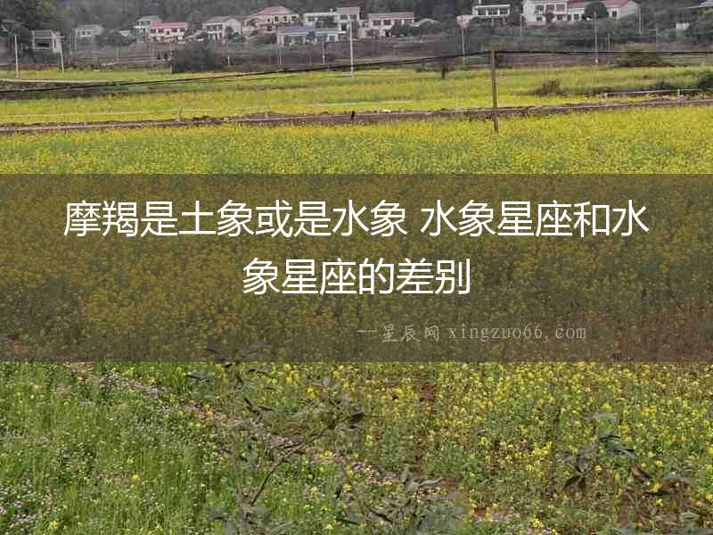 摩羯是土象或是水象 水象星座和水象星座的差別