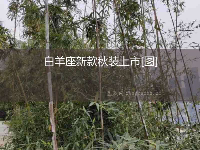 白羊座新款秋裝上市[圖]
